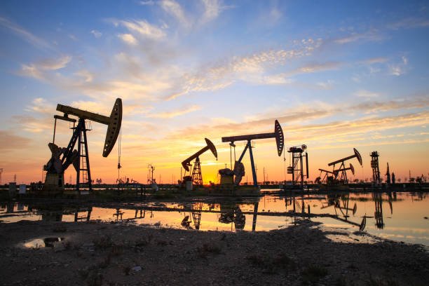 АО «Каспий Нефть» Кулибаева получило прибыль более 66 млрд тенге за 2025 год